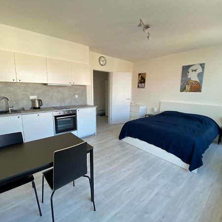 Cozy Studio With Garage In The City Center プルゼニ エクステリア 写真